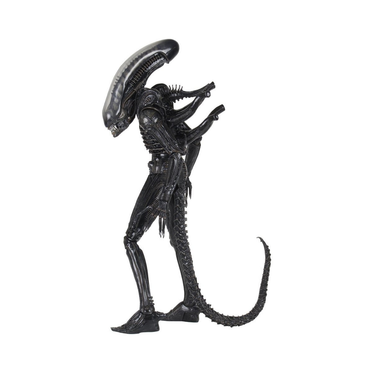 Neca Alien 1979 - Big Chap 1/4 - Scatola Kenner