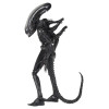 Neca Alien 1979 - Big Chap 1/4 - Scatola Kenner