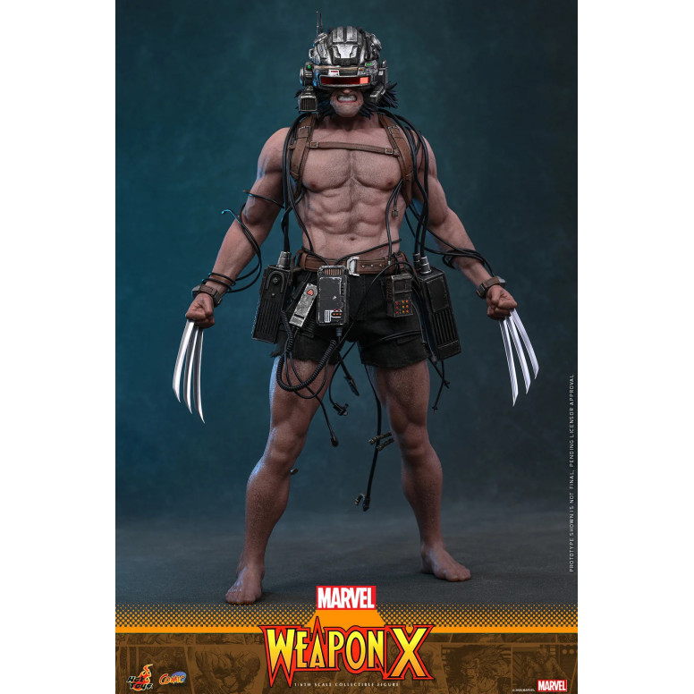 Hot Toys Marvel - Arma X - Capolavoro dei fumetti 1/6