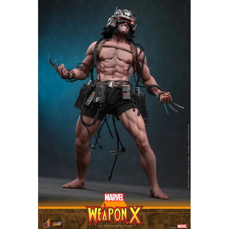 Hot Toys Marvel - Arma X - Capolavoro dei fumetti 1/6