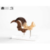 Toynami ECC Elite Creature Collectibles - Set di artigli da piede e artigli fossili di Velociraptor Jurassic Park
