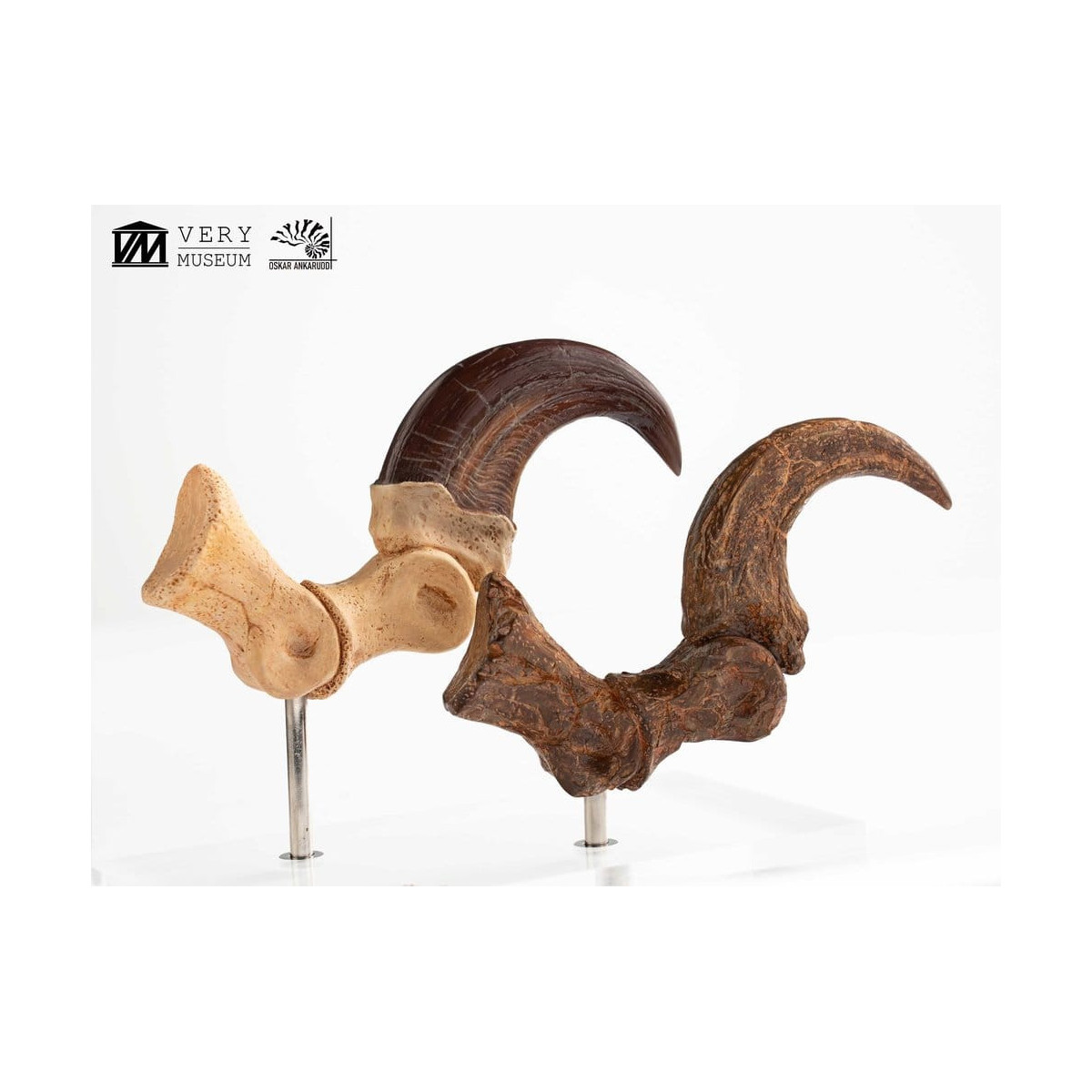 Toynami ECC Elite Creature Collectibles - Set di artigli da piede e artigli fossili di Velociraptor Jurassic Park