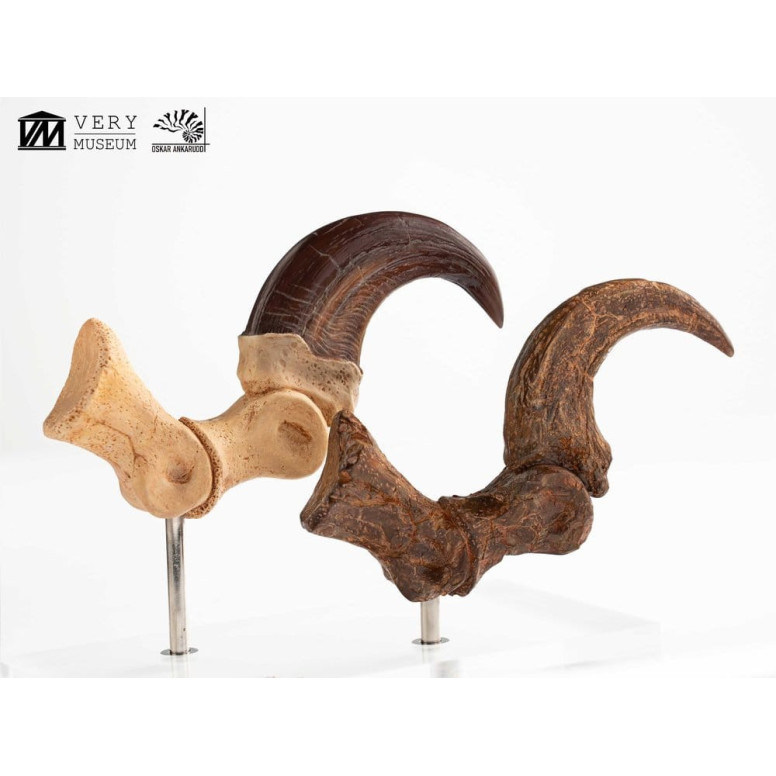 Toynami ECC Elite Creature Collectibles - Set di artigli da piede e artigli fossili di Velociraptor Jurassic Park