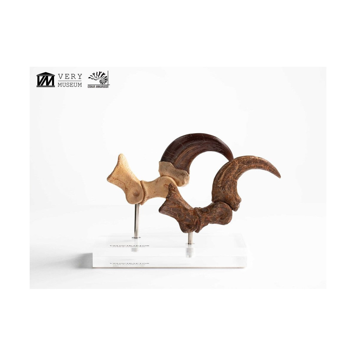 Toynami ECC Elite Creature Collectibles - Set di artigli da piede e artigli fossili di Velociraptor Jurassic Park