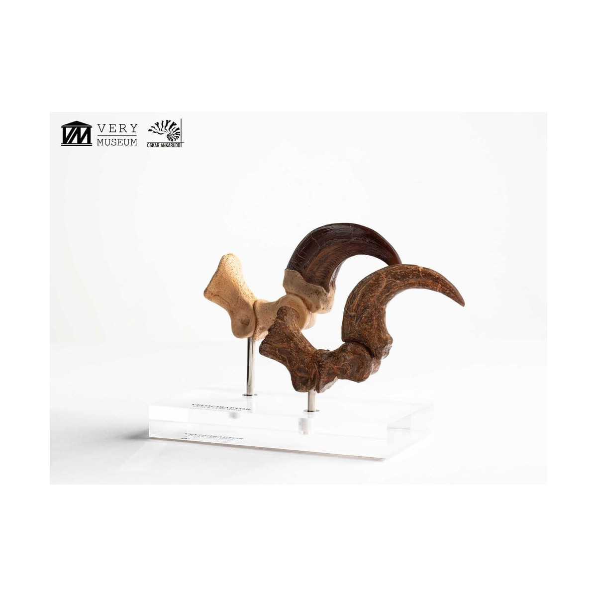 Toynami ECC Elite Creature Collectibles - Set di artigli da piede e artigli fossili di Velociraptor Jurassic Park