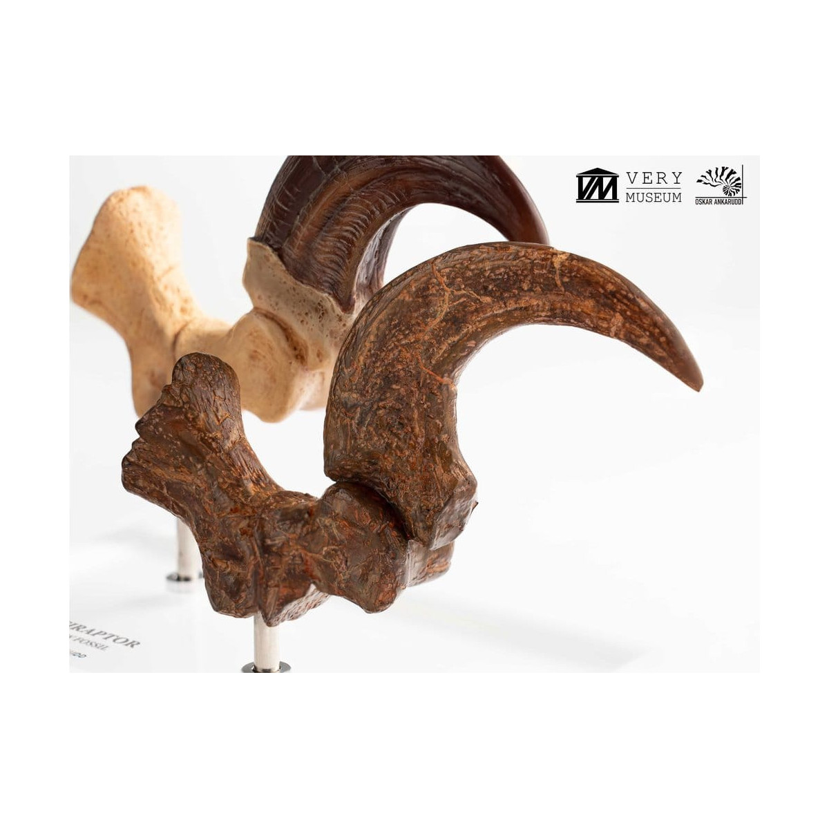 Toynami ECC Elite Creature Collectibles - Set di artigli da piede e artigli fossili di Velociraptor Jurassic Park