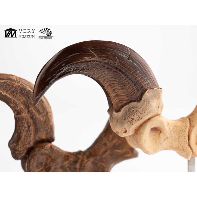 Toynami ECC Elite Creature Collectibles - Set di artigli da piede e artigli fossili di Velociraptor Jurassic Park