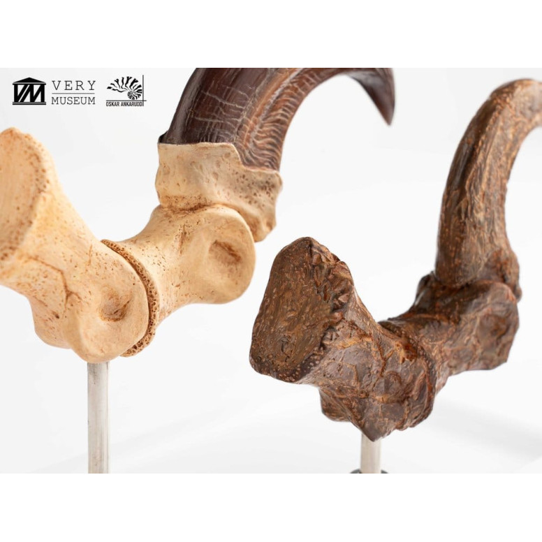 Toynami ECC Elite Creature Collectibles - Set di artigli da piede e artigli fossili di Velociraptor Jurassic Park
