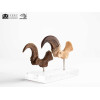 Toynami ECC Elite Creature Collectibles - Set di artigli da piede e artigli fossili di Velociraptor Jurassic Park
