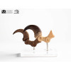 Toynami ECC Elite Creature Collectibles - Set di artigli da piede e artigli fossili di Velociraptor Jurassic Park