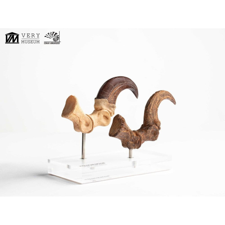 Toynami ECC Elite Creature Collectibles - Set di artigli da piede e artigli fossili di Velociraptor Jurassic Park