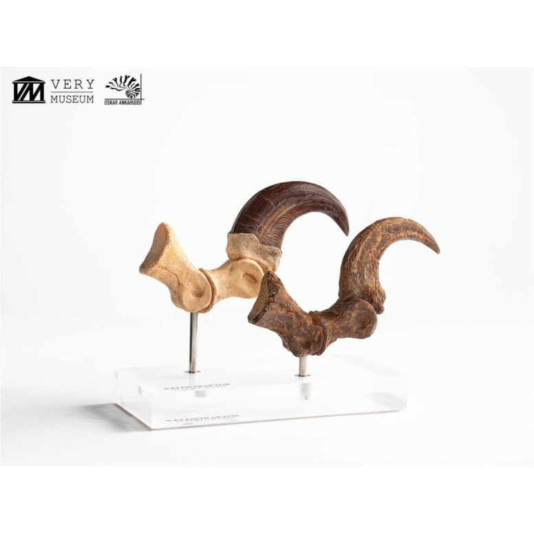 Toynami ECC Elite Creature Collectibles - Set di artigli da piede e artigli fossili di Velociraptor Jurassic Park
