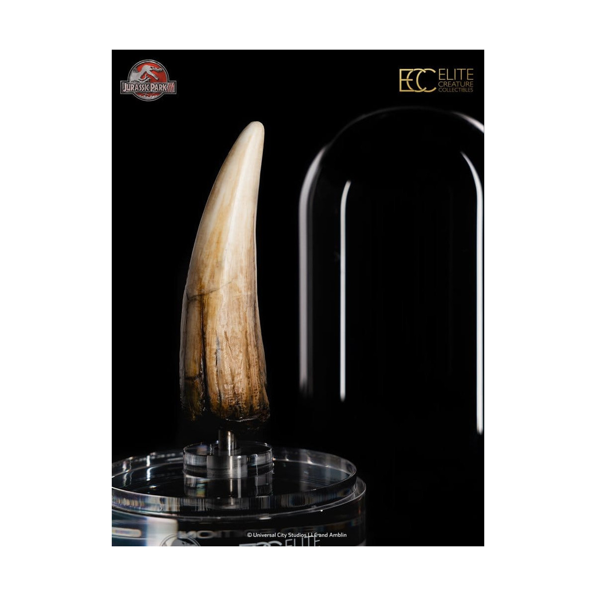 ECC Elite Creature Collectibles - Jurassic Park 3 Replica 1/1 Dente di Spinosauro