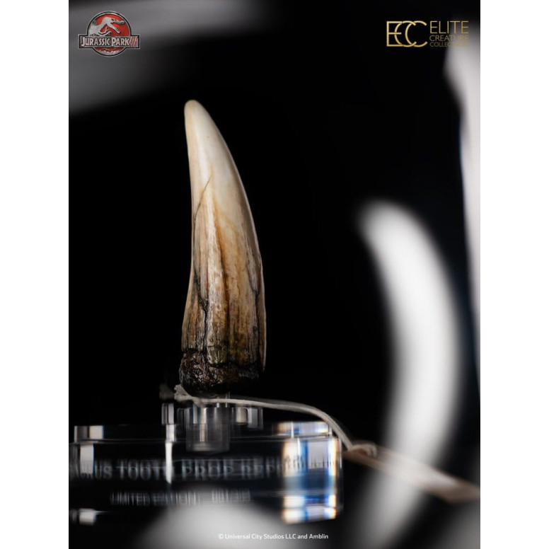 ECC Elite Creature Collectibles - Jurassic Park 3 Replica 1/1 Dente di Spinosauro