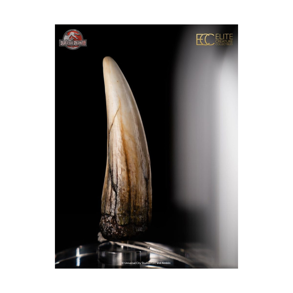 ECC Elite Creature Collectibles - Jurassic Park 3 Replica 1/1 Dente di Spinosauro