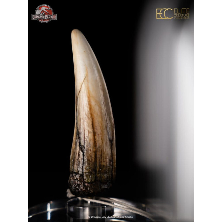 ECC Elite Creature Collectibles - Jurassic Park 3 Replica 1/1 Dente di Spinosauro