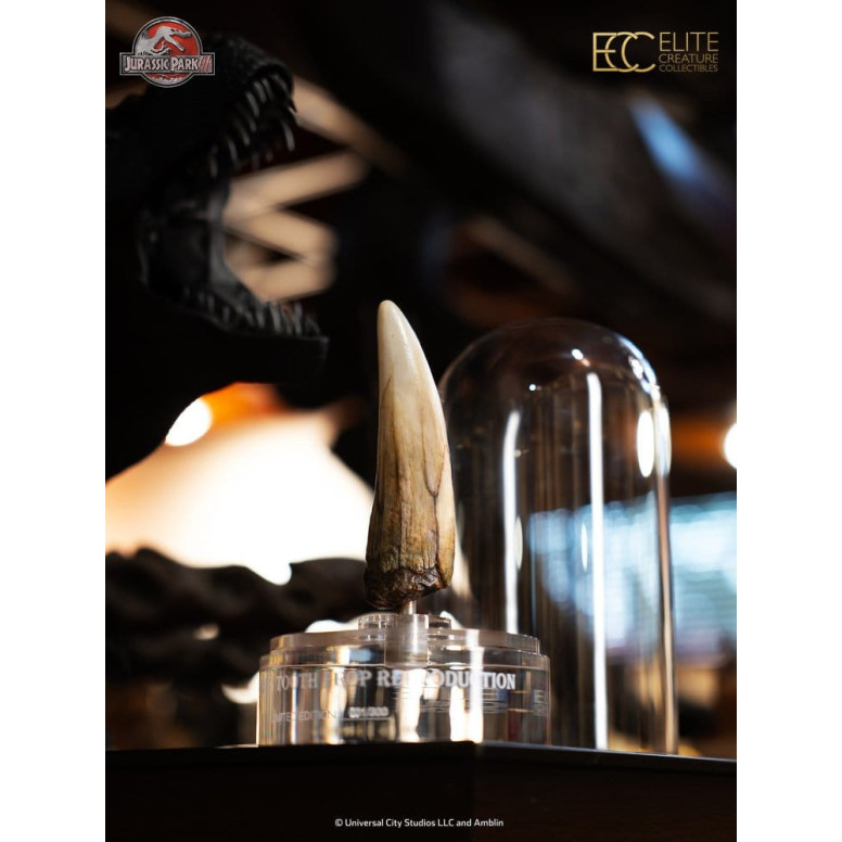 ECC Elite Creature Collectibles - Jurassic Park 3 Replica 1/1 Dente di Spinosauro