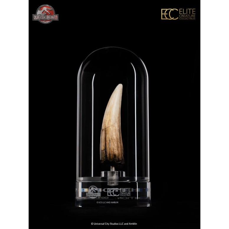 ECC Elite Creature Collectibles - Jurassic Park 3 Replica 1/1 Dente di Spinosauro