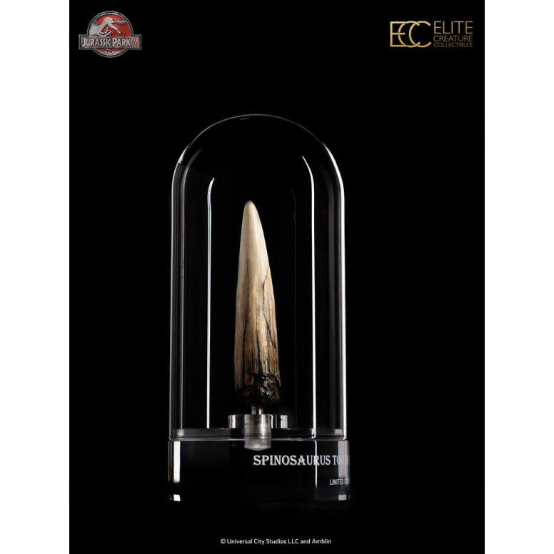 ECC Elite Creature Collectibles - Jurassic Park 3 Replica 1/1 Dente di Spinosauro