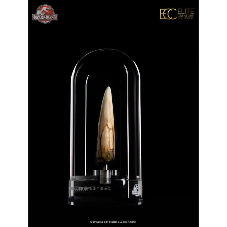 ECC Elite Creature Collectibles - Jurassic Park 3 Replica 1/1 Dente di Spinosauro