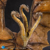 HIYA TOYS - Serie Exquisite Basic 1/12 - King Ghidorah 2.0 - Godzilla King of the Monsters (2019)