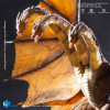 HIYA TOYS - Serie Exquisite Basic 1/12 - King Ghidorah 2.0 - Godzilla King of the Monsters (2019)