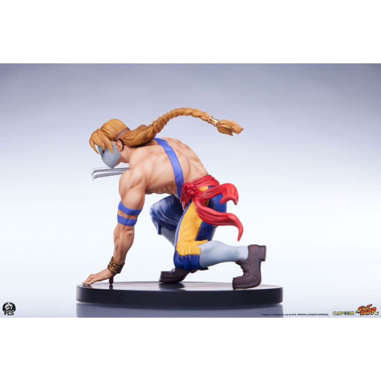 PCS - Street Fighter: Street Jam - Set di statue in scala 1:10 di Ken e Vega