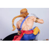 PCS - Street Fighter: Street Jam - Set di statue in scala 1:10 di Ken e Vega