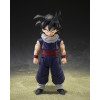 Bandai Tamashii - Son Gohan (Z-Fighters) (Edizione limitata Z-Fighters Group Base Ver. A) - S.H.Figuarts