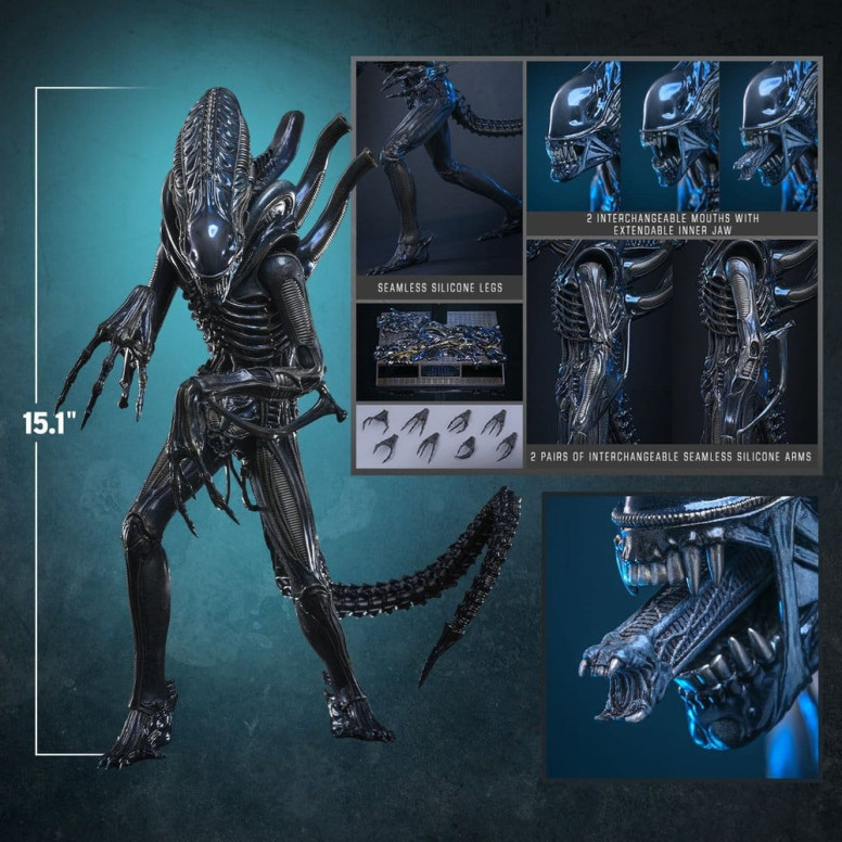 Hot Toys - Aliens  -  Alien Warrior v2 MMS scala 1/6