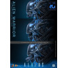Hot Toys - Aliens  -  Alien Warrior v2 MMS scala 1/6