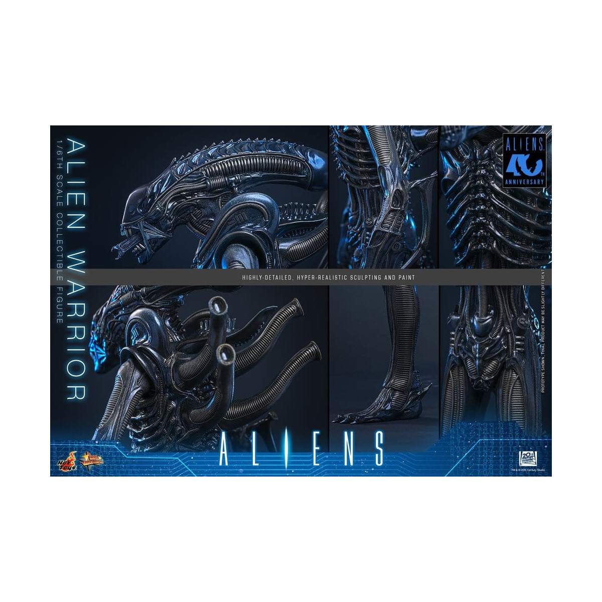 Hot Toys - Aliens  -  Alien Warrior v2 MMS scala 1/6