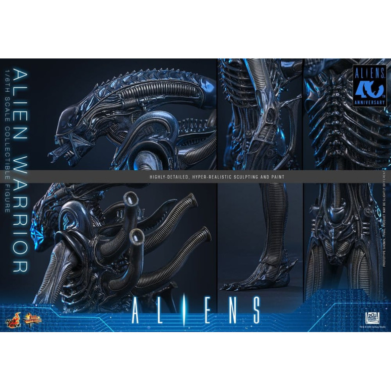 Hot Toys - Aliens  -  Alien Warrior v2 MMS scala 1/6
