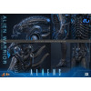 Hot Toys - Aliens  -  Alien Warrior v2 MMS scala 1/6