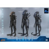 Hot Toys - Aliens  -  Alien Warrior v2 MMS scala 1/6