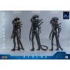 Hot Toys - Aliens  -  Alien Warrior v2 MMS scala 1/6