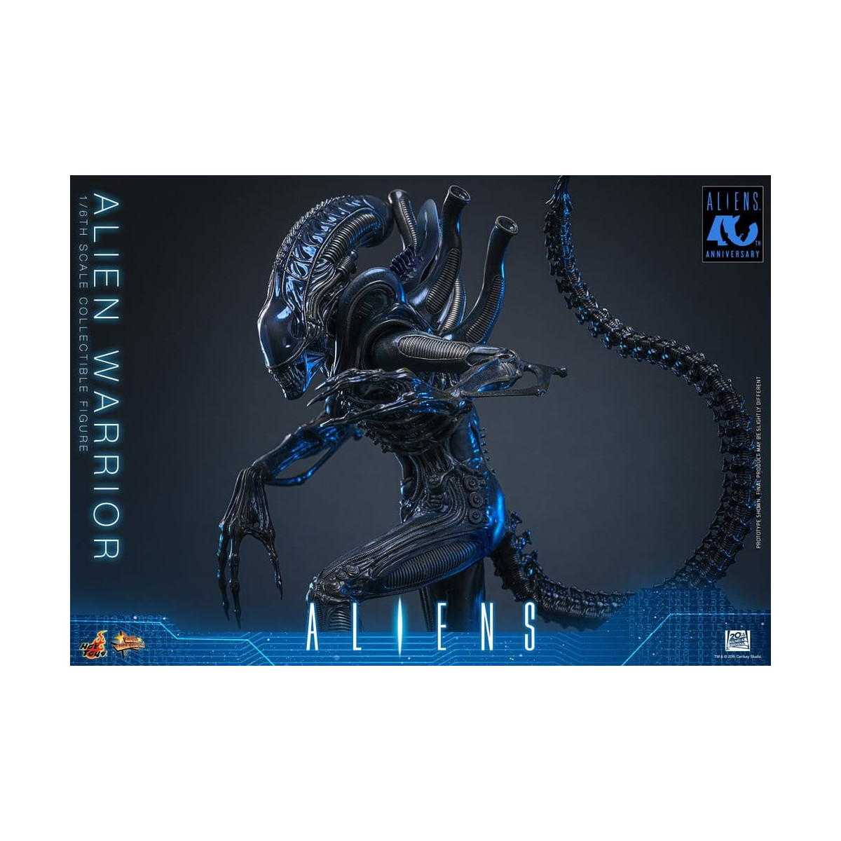 Hot Toys - Aliens  -  Alien Warrior v2 MMS scala 1/6