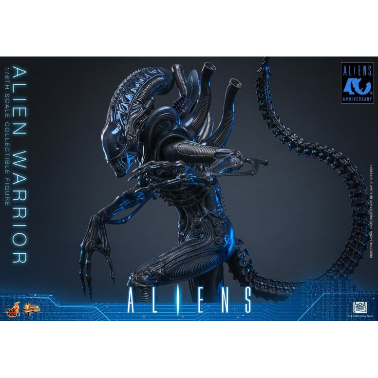 Hot Toys - Aliens  -  Alien Warrior v2 MMS scala 1/6