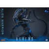Hot Toys - Aliens  -  Alien Warrior v2 MMS scala 1/6