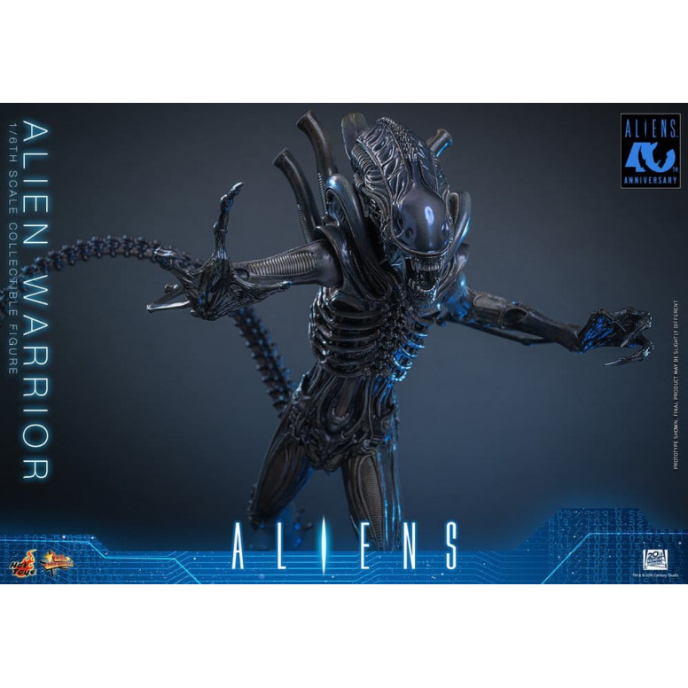 Hot Toys - Aliens  -  Alien Warrior v2 MMS scala 1/6