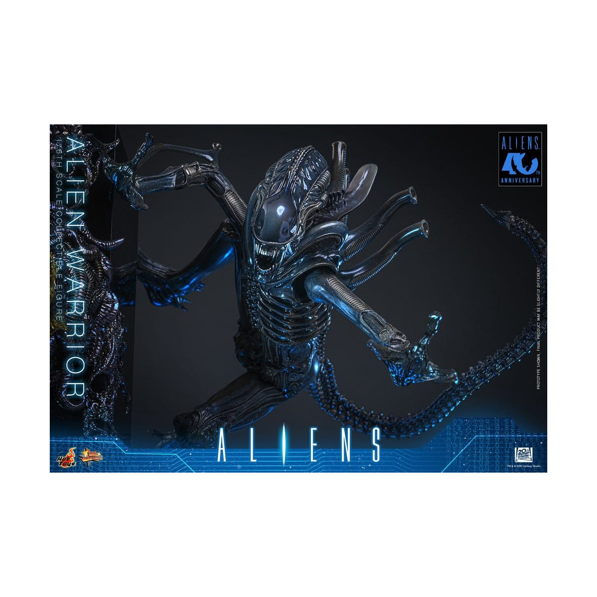 Hot Toys - Aliens  -  Alien Warrior v2 MMS scala 1/6