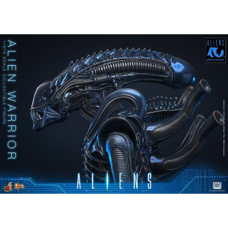 Hot Toys - Aliens  -  Alien Warrior v2 MMS scala 1/6