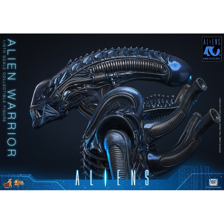 Hot Toys - Aliens  -  Alien Warrior v2 MMS scala 1/6