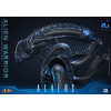 Hot Toys - Aliens  -  Alien Warrior v2 MMS scala 1/6