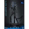 Hot Toys - Aliens  -  Alien Warrior v2 MMS scala 1/6