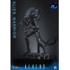 Hot Toys - Aliens  -  Alien Warrior v2 MMS scala 1/6