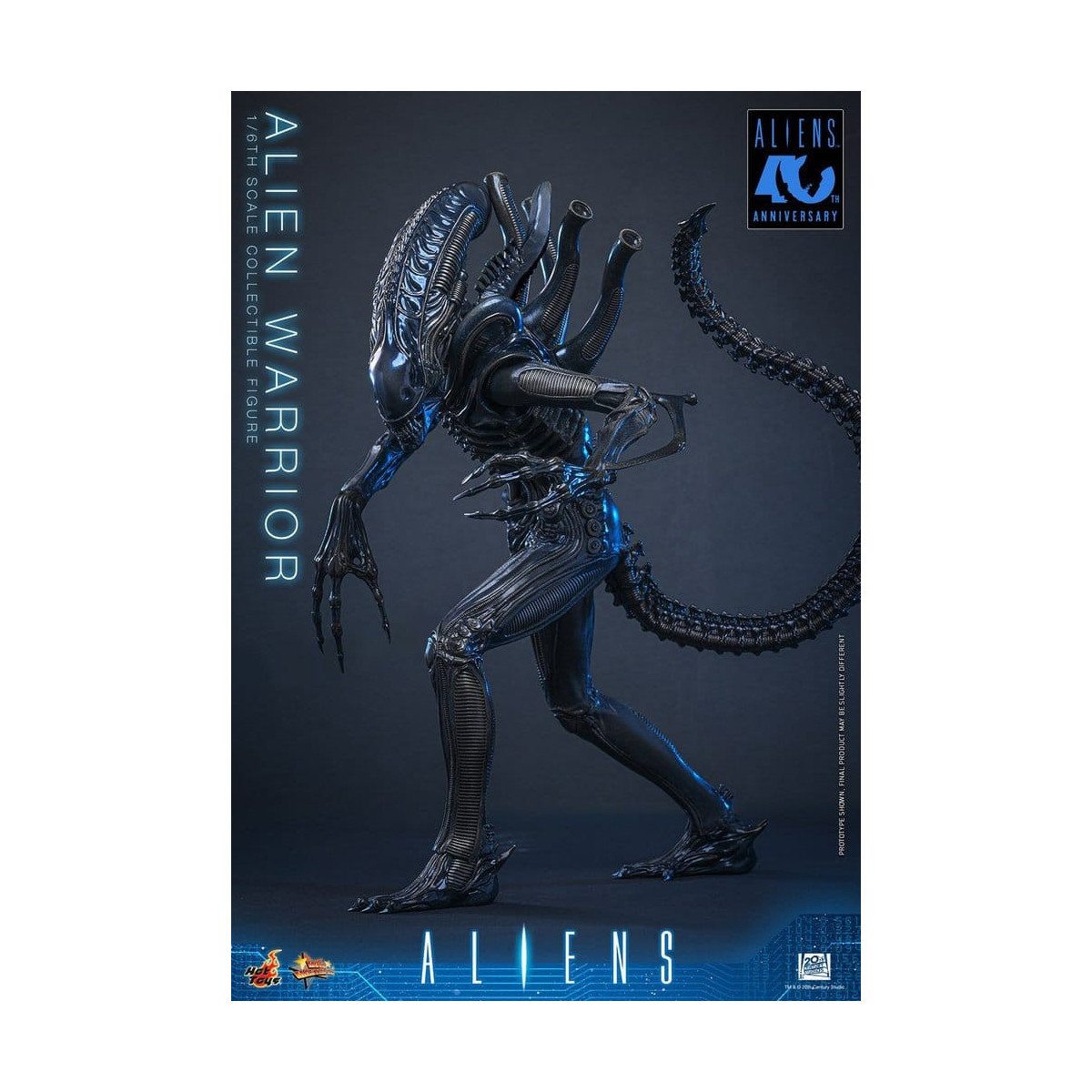 Hot Toys - Aliens  -  Alien Warrior v2 MMS scala 1/6