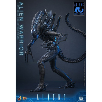 Hot Toys - Aliens  -  Alien Warrior v2 MMS scala 1/6