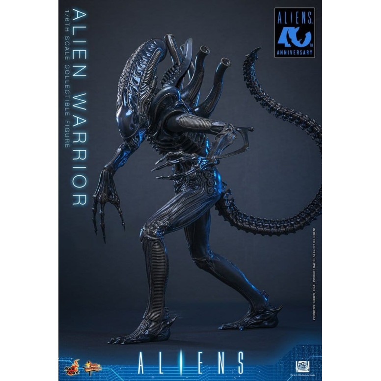 Hot Toys - Aliens  -  Alien Warrior v2 MMS scala 1/6