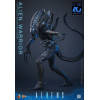 Hot Toys - Aliens  -  Alien Warrior v2 MMS scala 1/6
